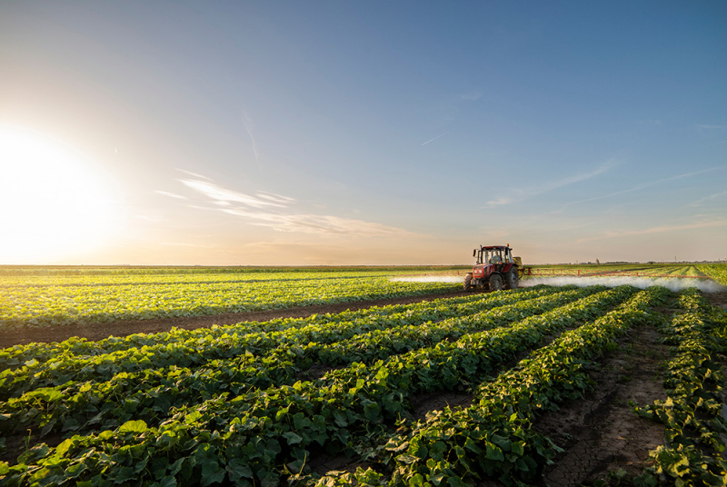 Agricoltura di precisione